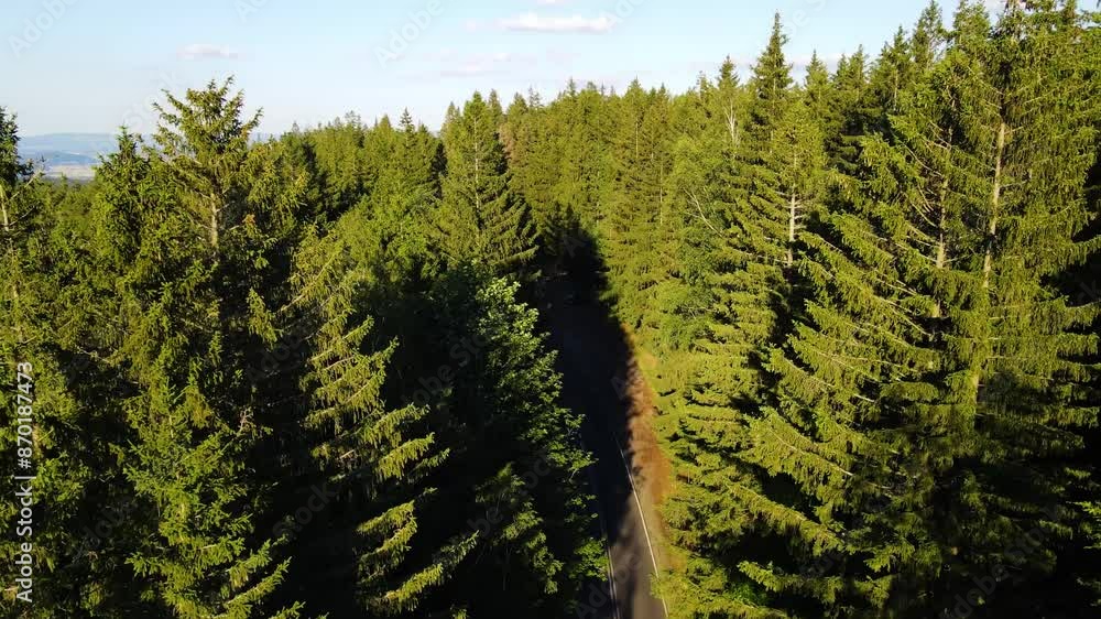 forest mountains road Mountain view from a drone summer Germany forest mountains road Mountain view from a drone summer Germany