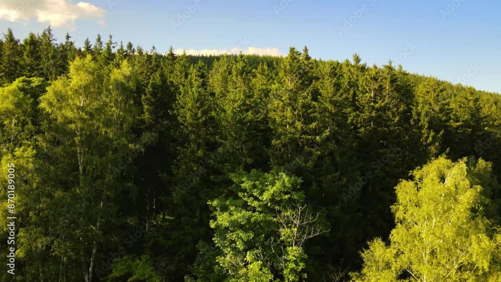 Summer Saastal Saas-Fee Switzerland aerial photography drone mountain larch forest coniferous top clouds Swiss Alps mountain peaks valley drone movement Summer Saastal Saas-Fee Switzerland aerial photography drone mountain larch forest coniferous top clouds Swiss Alps mountain peaks valley drone movement