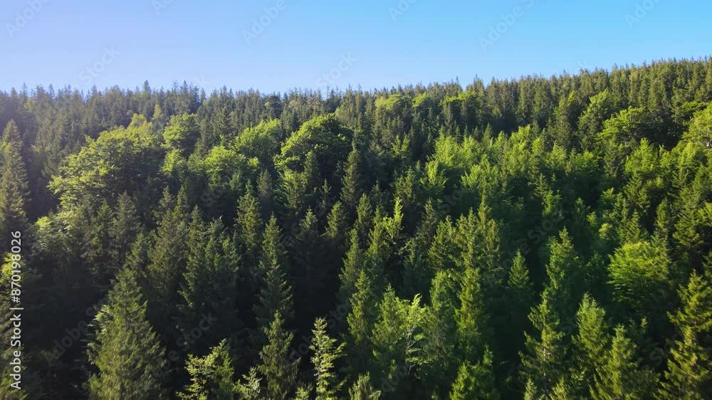 Summer Saastal Saas-Fee Switzerland aerial photography drone mountain larch forest coniferous top clouds Swiss Alps mountain peaks valley drone movement Summer Saastal Saas-Fee Switzerland aerial photography drone mountain larch forest coniferous top clouds Swiss Alps mountain peaks valley drone movement
