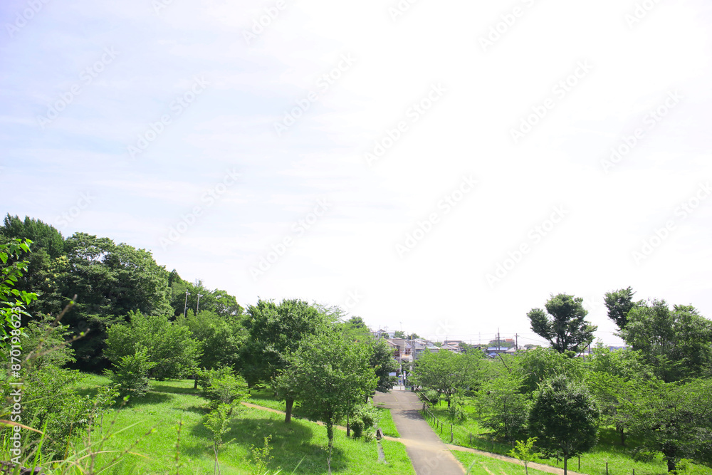 a city park with a lot of trees during a summertime, background plate a city park with a lot of trees during a summertime, background plate