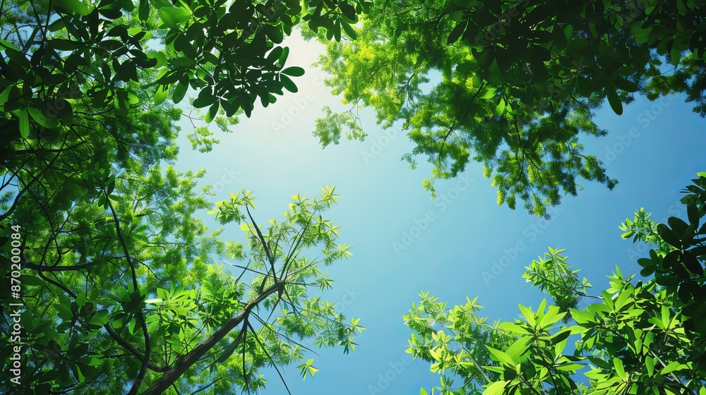 Green nature under a beautiful clear sky offers a serene and picturesque scene. Green nature under a beautiful clear sky offers a serene and picturesque scene.