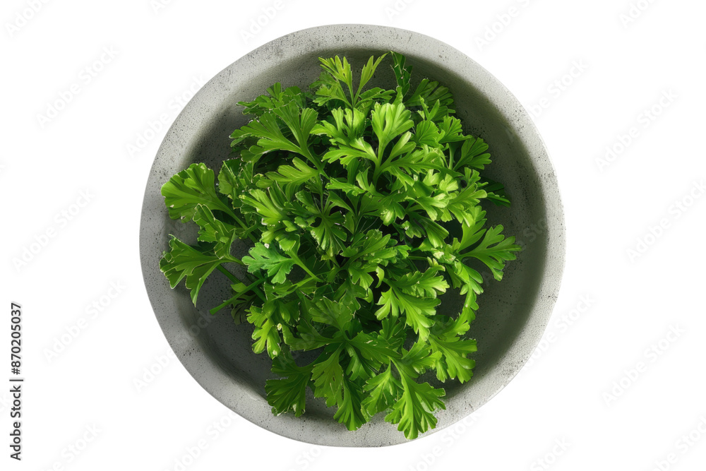 Parsley in a bowl isolated on transparent background Parsley in a bowl isolated on transparent background