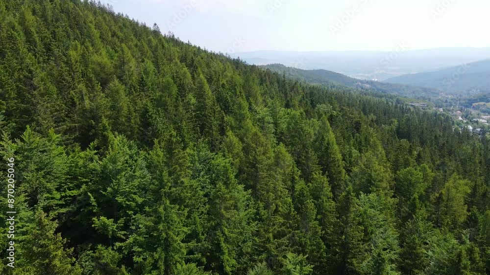 Summer Saastal Saas-Fee Switzerland aerial photography drone mountain larch forest coniferous top clouds Swiss Alps mountain peaks valley drone movement Summer Saastal Saas-Fee Switzerland aerial photography drone mountain larch forest coniferous top clouds Swiss Alps mountain peaks valley drone movement