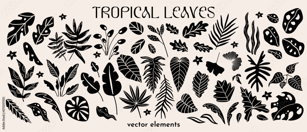 Φωτογραφία Cartoon tropical plants vector illustration set for design
