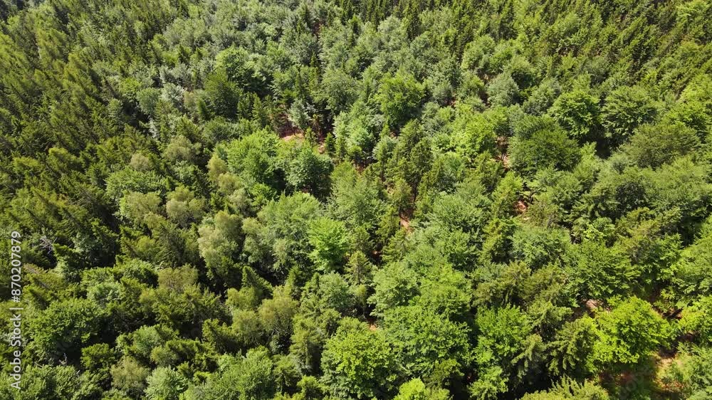 Summer Saastal Saas-Fee Switzerland aerial photography drone mountain larch forest coniferous top clouds Swiss Alps mountain peaks valley drone movement Summer Saastal Saas-Fee Switzerland aerial photography drone mountain larch forest coniferous top clouds Swiss Alps mountain peaks valley drone movement