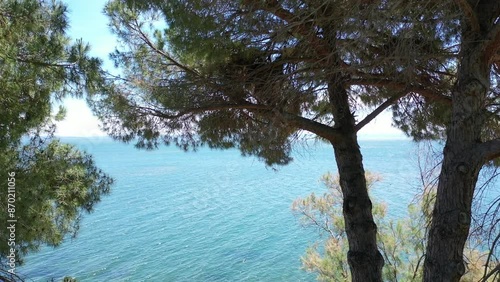 Video from a drone flying smoothly through the branches of pine trees to the open sea on a sunny summer day, the coast of Istres, Provence, France photo