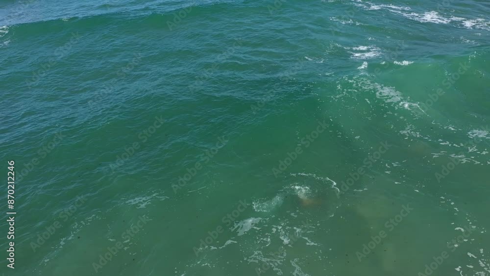 Aerial view of dangerous sea waves and a woman swimming in the ocean Aerial view of dangerous sea waves and a woman swimming in the ocean