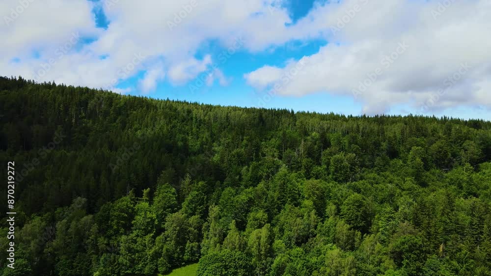 Summer Saastal Saas-Fee Switzerland aerial photography drone mountain larch forest coniferous top clouds Swiss Alps mountain peaks valley drone movement Summer Saastal Saas-Fee Switzerland aerial photography drone mountain larch forest coniferous top clouds Swiss Alps mountain peaks valley drone movement