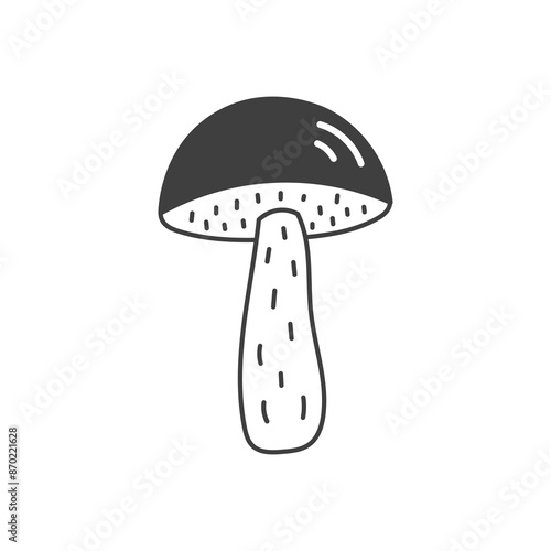 Boletus Mushroom Doodle. Hand drawn Forest Fungus Icon. Food Ingredient sketch. Isolated vector illustration.