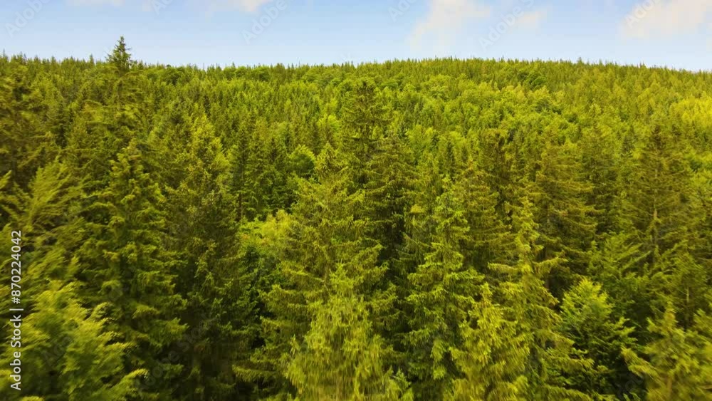 Summer Saastal Saas-Fee Switzerland aerial photography drone mountain larch forest coniferous top clouds Swiss Alps mountain peaks valley drone movement Summer Saastal Saas-Fee Switzerland aerial photography drone mountain larch forest coniferous top clouds Swiss Alps mountain peaks valley drone movement