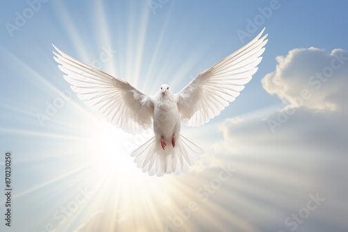 a white dove flying in the sky with sun rays © Katarina