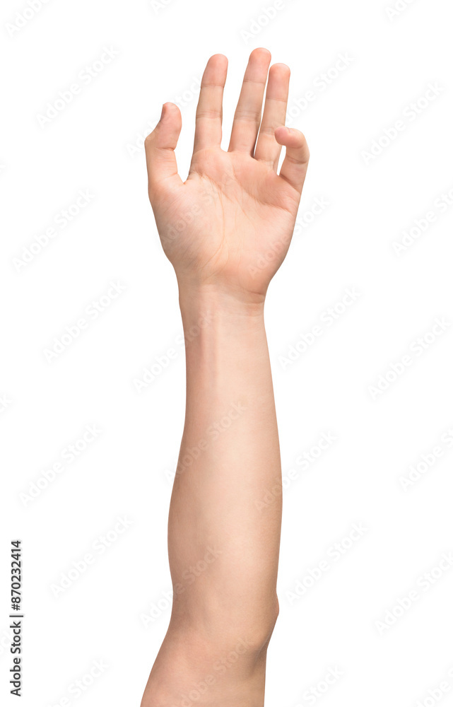 men's elongated hand on an isolated white background men's elongated hand on an isolated white background