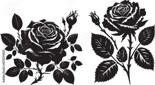 set of roses