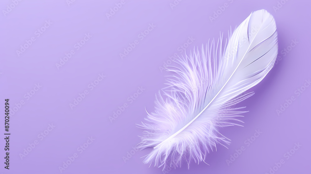 Obraz premium White feathers on purple background