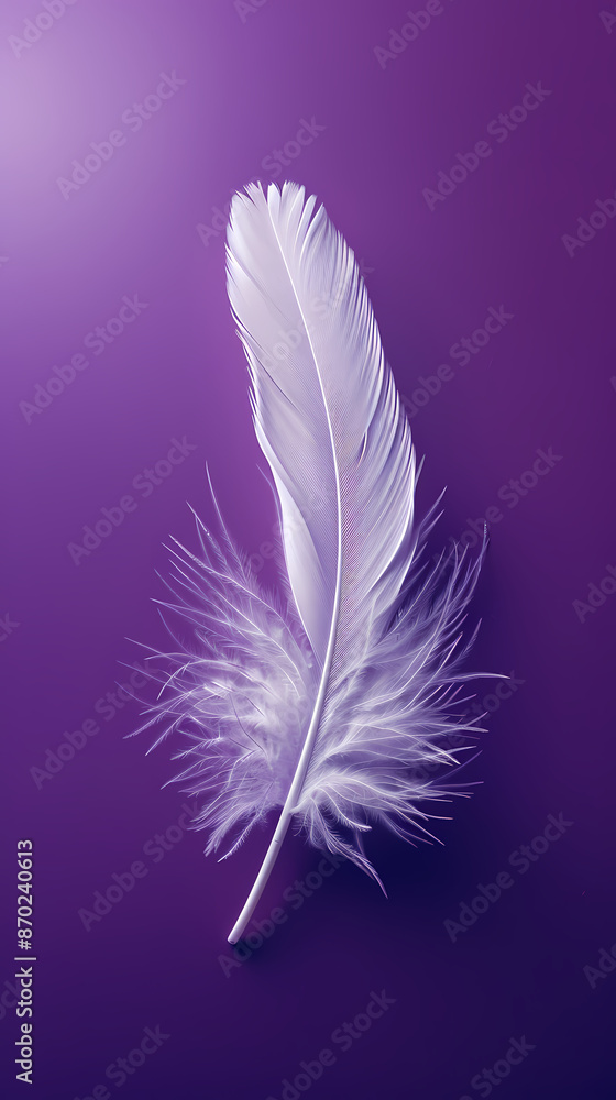 Obraz premium White feathers on purple background