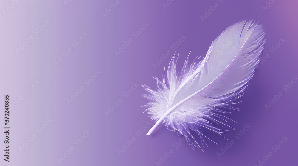 Obraz premium White feathers on purple background