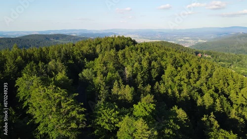 Summer Saastal Saas-Fee Switzerland aerial photography drone mountain larch forest coniferous top clouds Swiss Alps mountain peaks valley drone movement photo