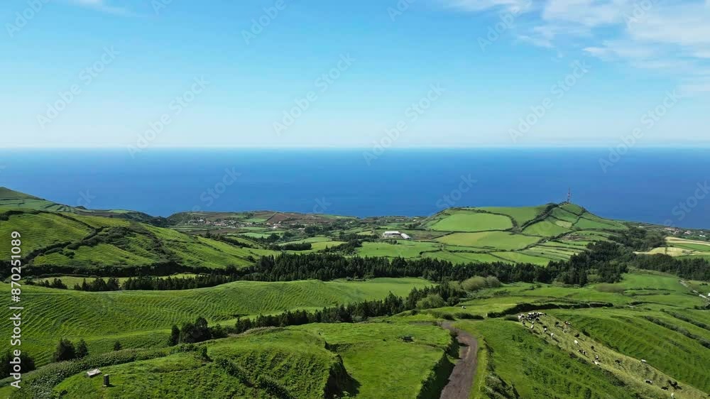 Lush green hills and fields stretch towards the ocean under a bright blue sky Lush green hills and fields stretch towards the ocean under a bright blue sky