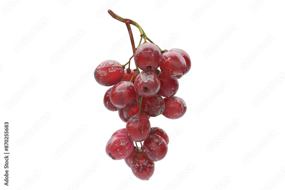Fototapeta premium Bunch of red grapes isolated on transparent background