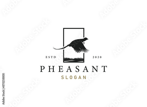 silhouette of pheasant logo design. Beauty pheasant logo
