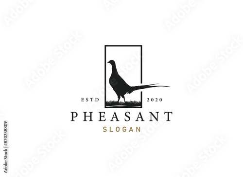 silhouette of pheasant logo design. Beauty pheasant logo