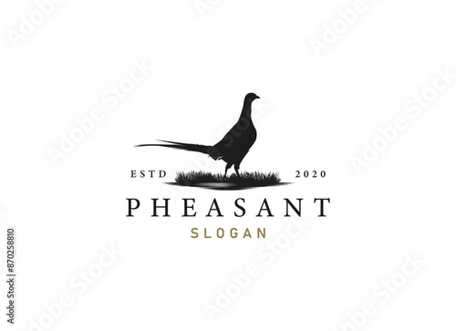 silhouette of pheasant logo design. Beauty pheasant logo