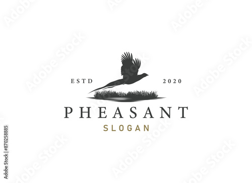 silhouette of pheasant logo design. Beauty pheasant logo