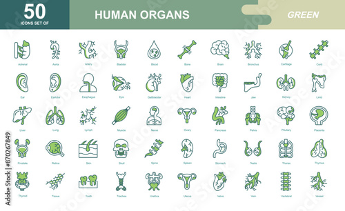 Human Organs icon set