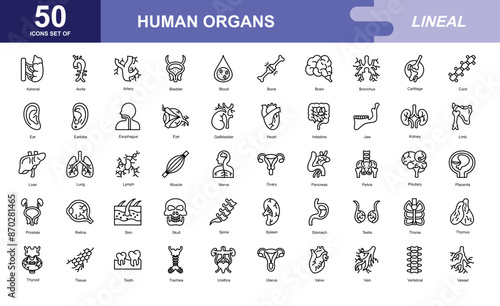 Human Organs icon set