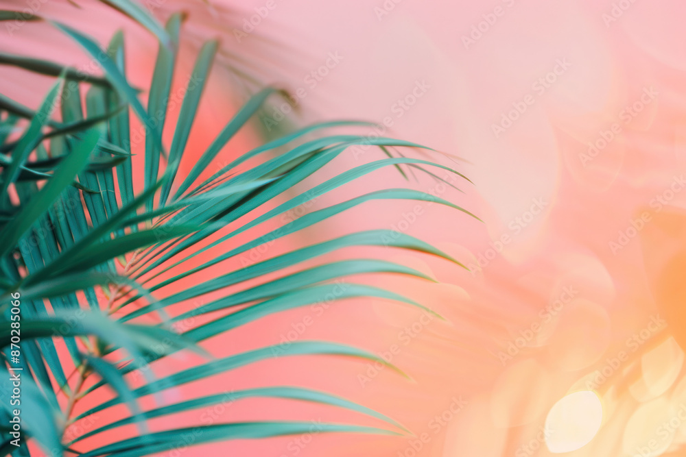 A close-up shot of a palm frond against a soft, out-of-focus peach background A close-up shot of a palm frond against a soft, out-of-focus peach background