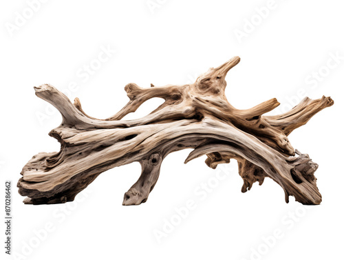 a piece of driftwood on a white background