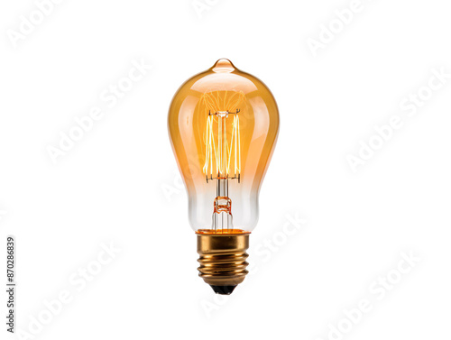 a light bulb with a filament photo