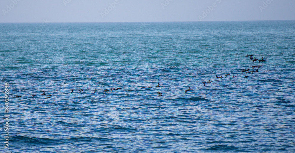 background of blue sea water in sunny weather nature. background of blue sea water in sunny weather nature.