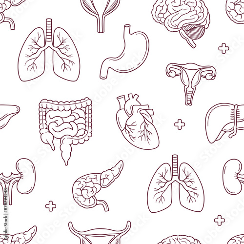 Human internal organ outline doodle seamless pattern background