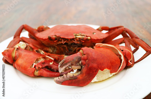 Plate of a Whole Steamed Sea Crab, One of a Popular Thai Seafood Dish photo