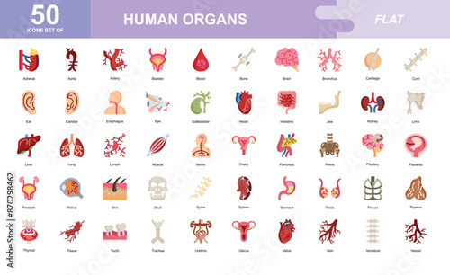 Human Organs icon set