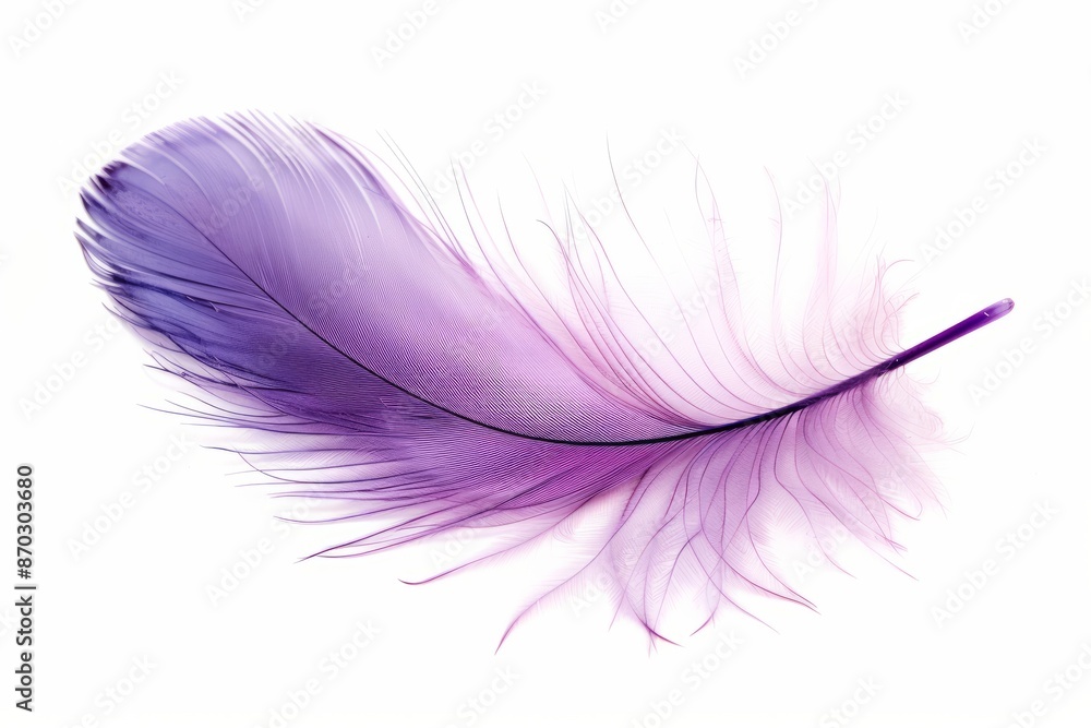 Obraz premium Purple feather on white background, lightweight