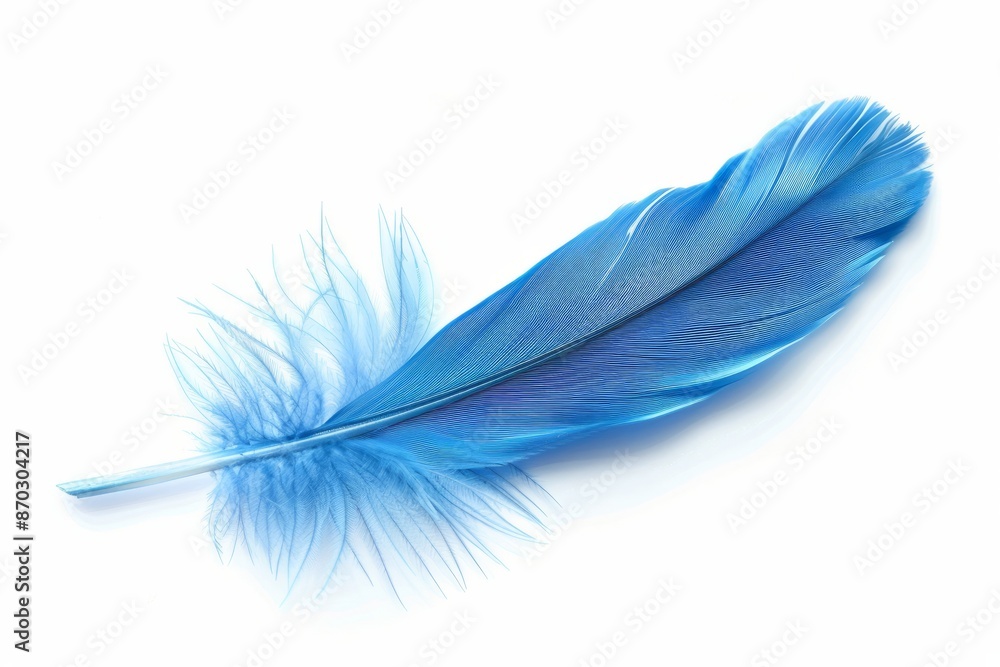 Obraz premium Blue feather on white background, lightweight