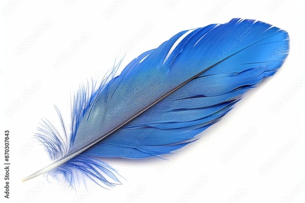 Blue feather on white background, lightweight Blue feather on white background, lightweight