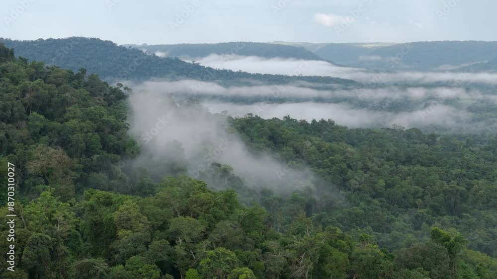 Aerial view of fog over lush green forests landscape in Misiones, Argentina. Aerial view of fog over lush green forests landscape in Misiones, Argentina.