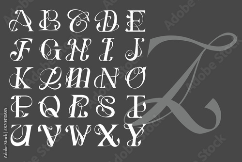 Abstract Type Elegance Font Illustration