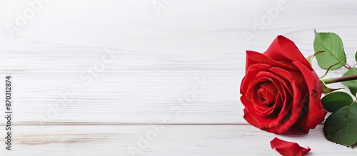 Red rose displayed on a whi...