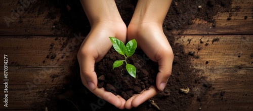Top view of a woman's hands...