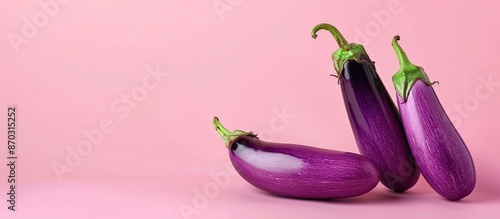 a fresh violet brinjal vegi...