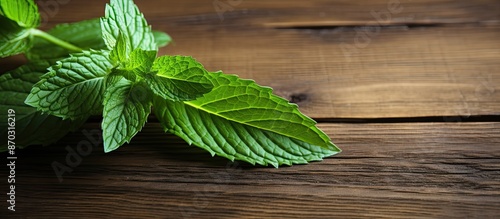 Mint leaf on wooden surface...