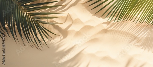 Top view of a natural shado...