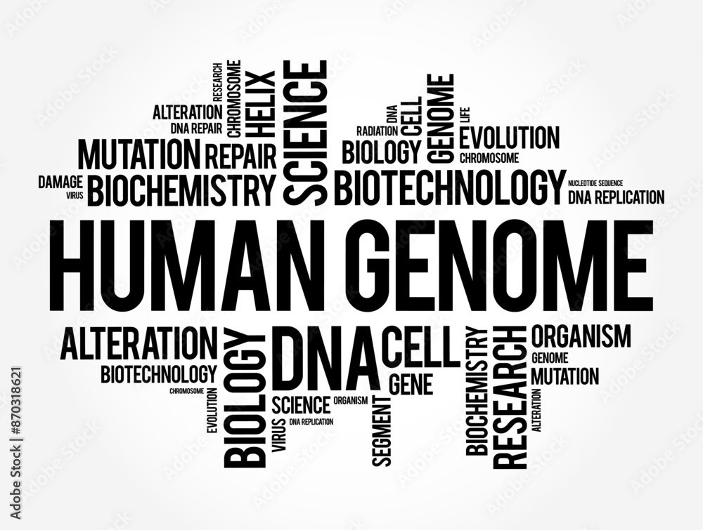 Fototapeta premium Human Genome is a complete set of nucleic acid sequences for humans, word cloud concept background