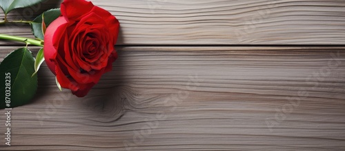 Red rose displayed on a whi...