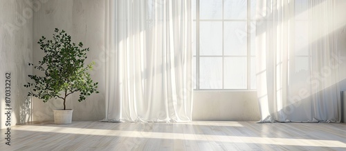 Window with white curtain i...