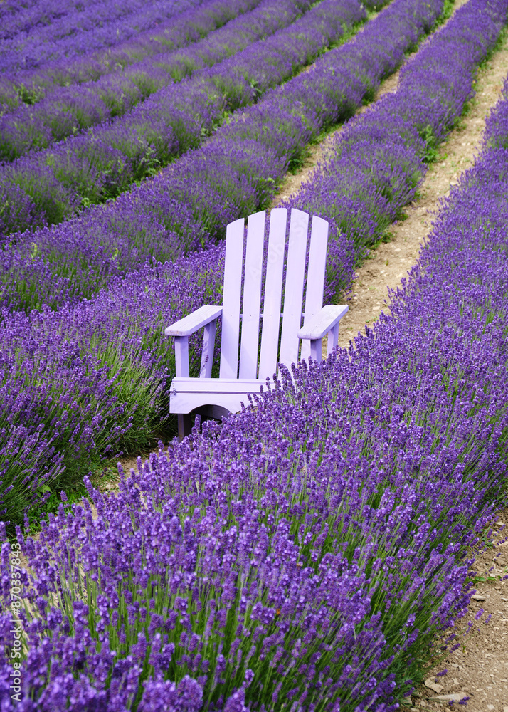 Foto scattata a Vendersi in Val Borbera. Il borgo famoso per gli spaventapasseri e per i campi di lavanda.